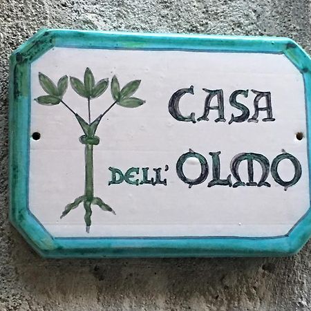 Casa Dell'Olmo Lejlighed Orvieto Eksteriør billede