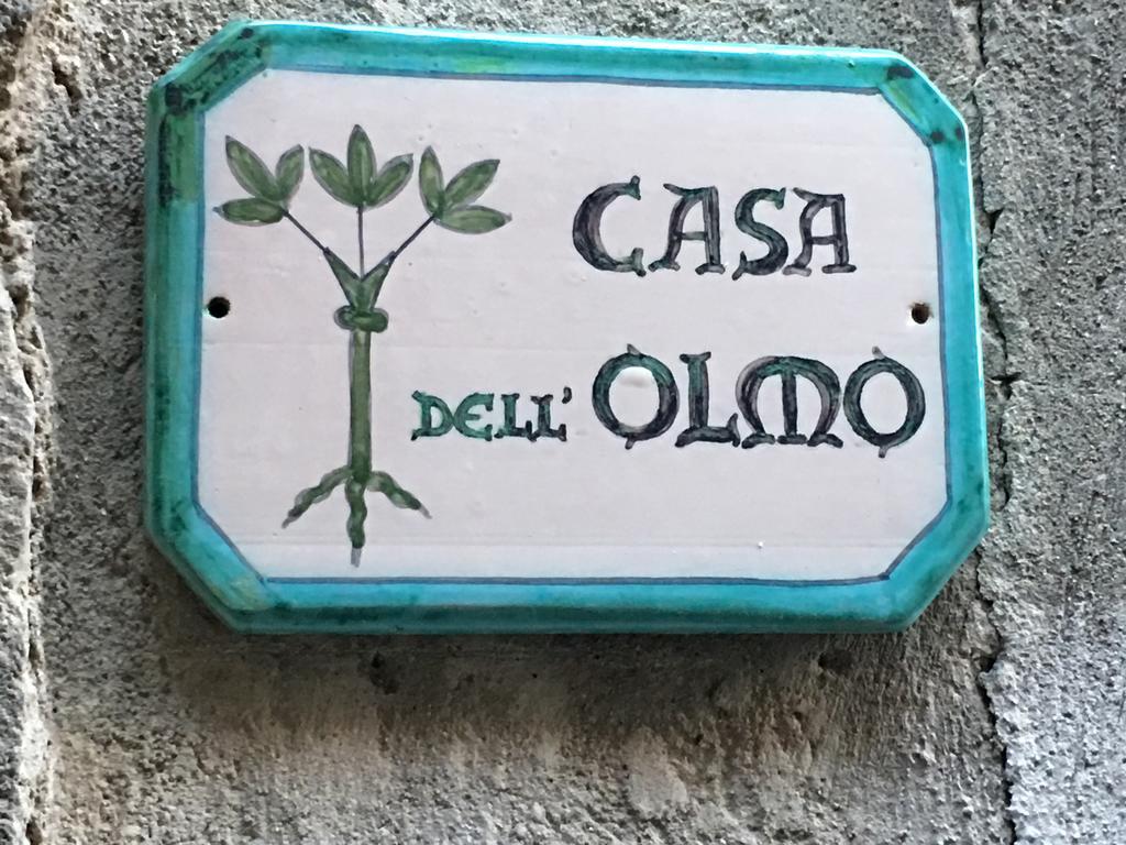 Casa Dell'Olmo Lejlighed Orvieto Eksteriør billede